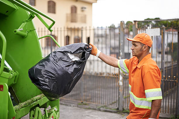Yard Cleanup Services